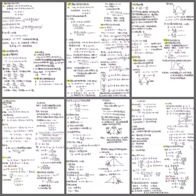 武汉学院刘佳一：上岸华中科技大学！