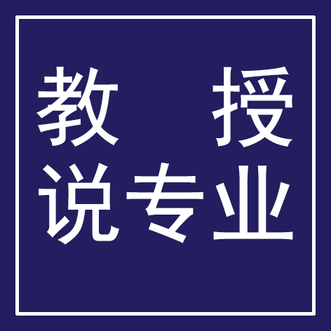 武汉学院